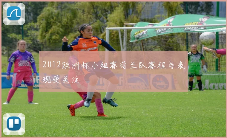 2012欧洲杯小组赛荷兰队赛程与表现受关注